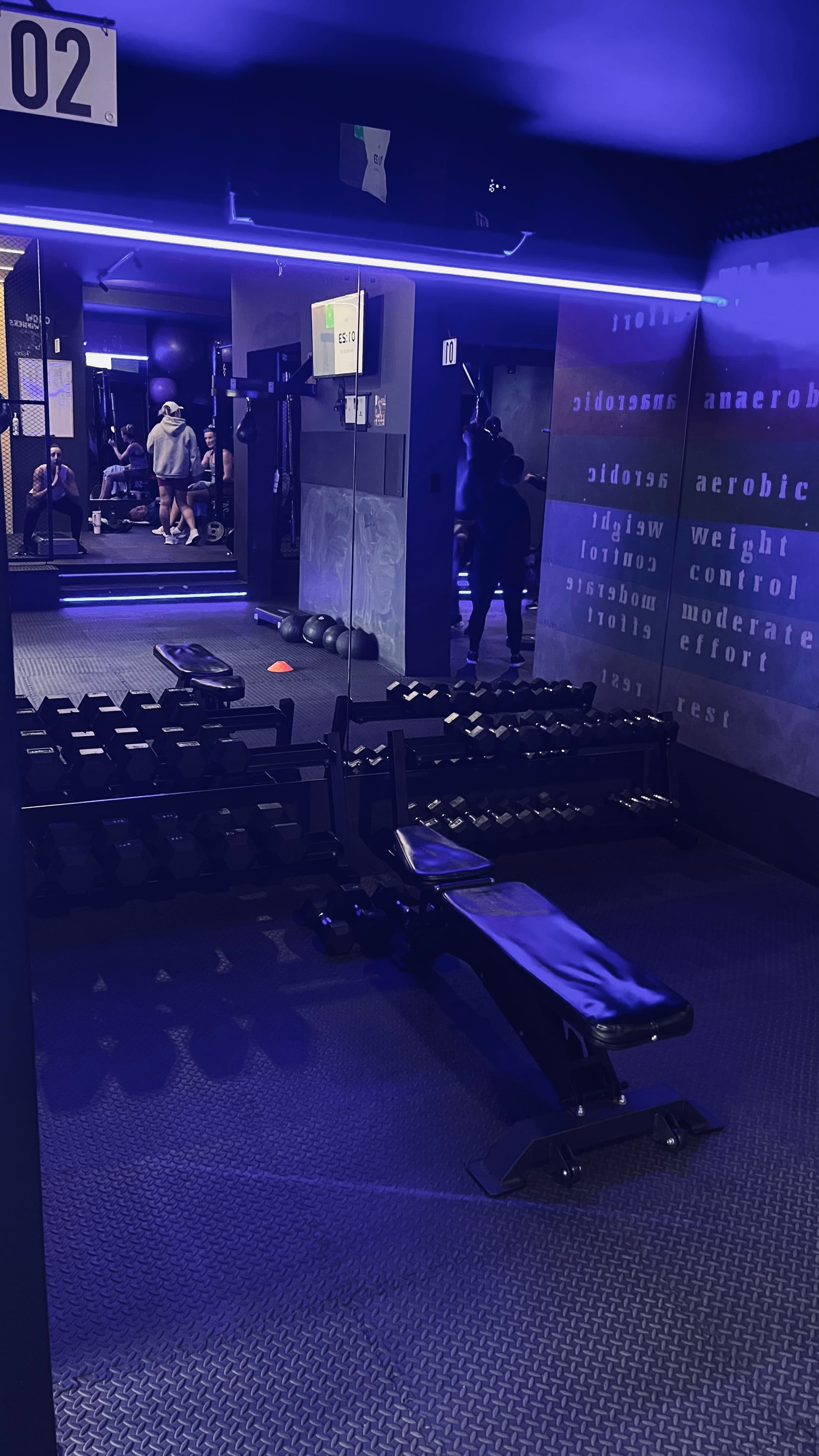 Dumbbell training zone with heart-rate effort-zone graphics inside TENROUNDS Garsfontein